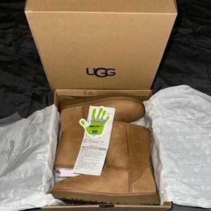 Brand new pair of Uggs